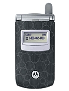 Motorola T725 