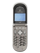 Motorola V66 