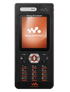 Sony Ericsson W888 DB2020 A1
